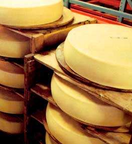 Making Cheese in God's Country Image